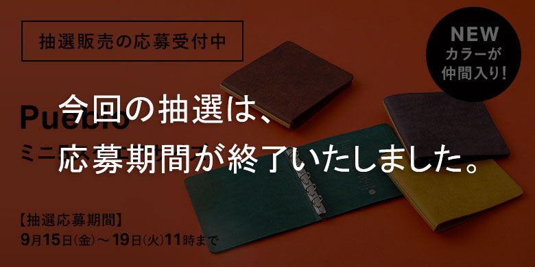 驚きの価格が実現！ プエブロ 新品未使用 ライトブラウン ミニ5